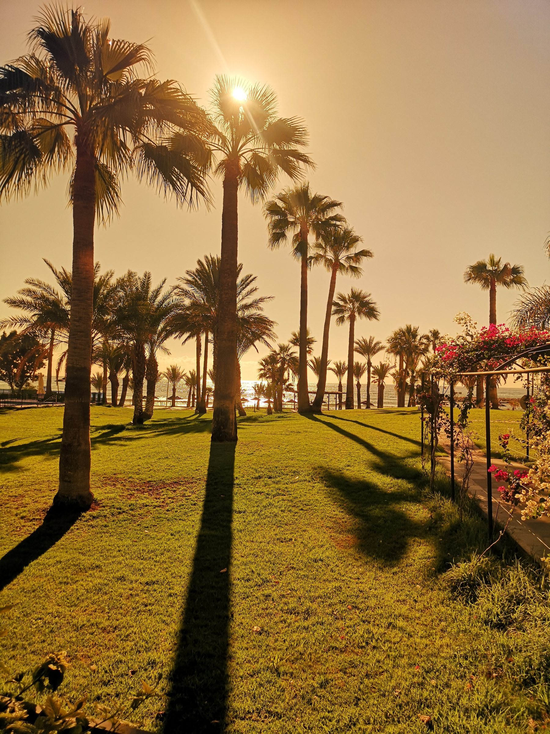 Cyprus resort garden prepared for seasonal outdoor pest-control planning