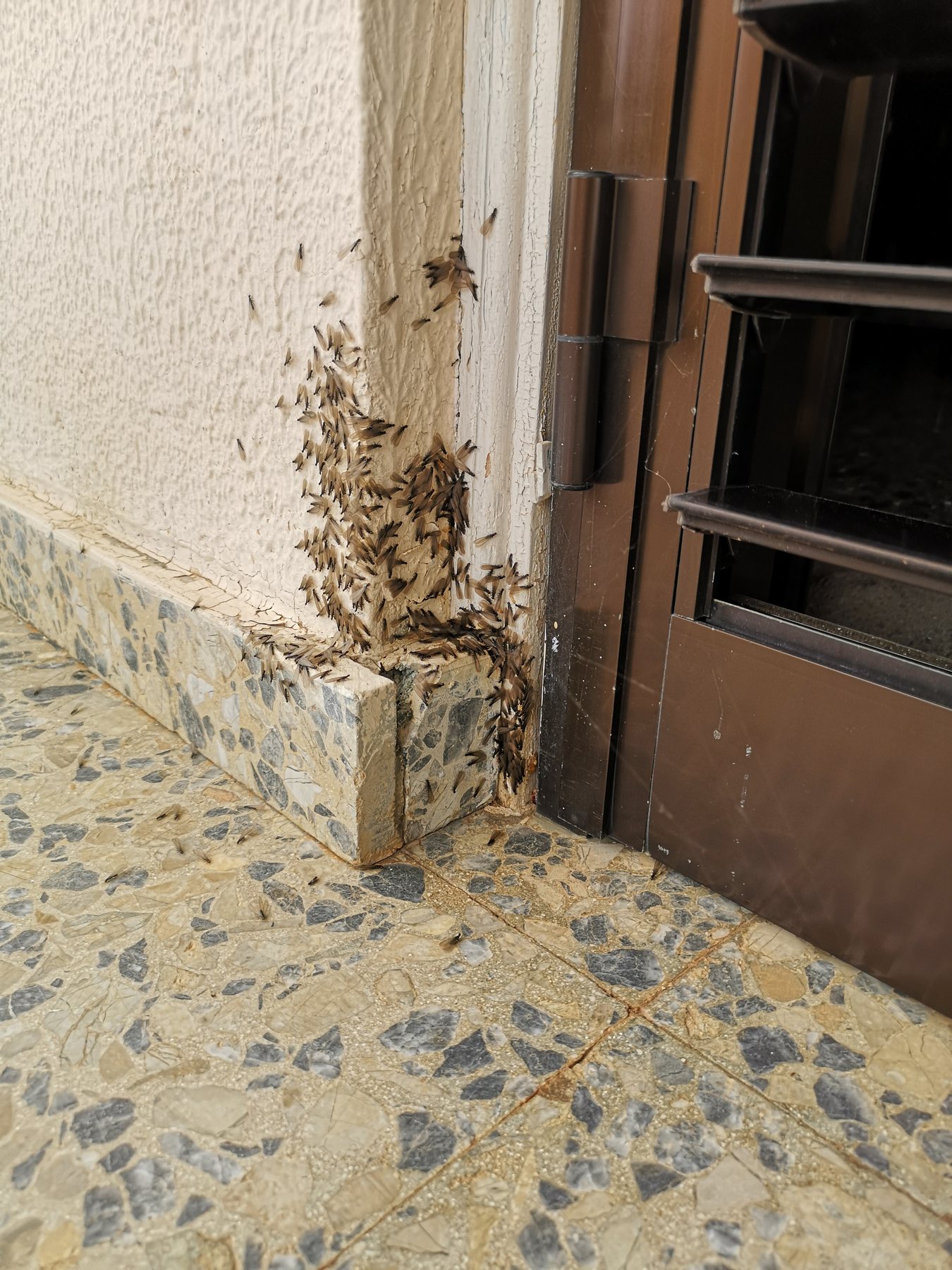 Building risk priorities